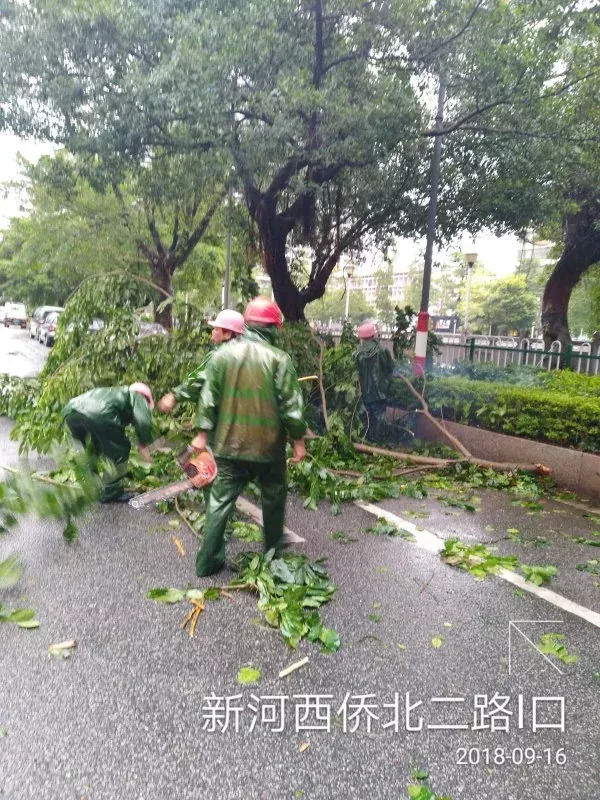 河北暴雨实时动态