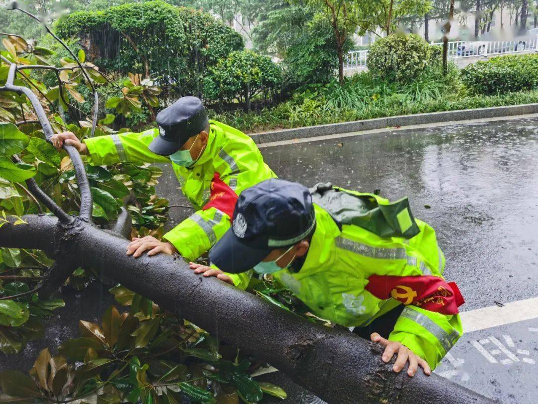 “最新台风动态及风力等级”