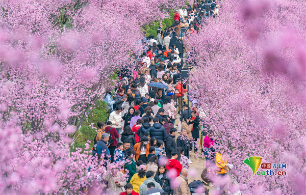 穿越花海养成记：娇颜绽放新篇章