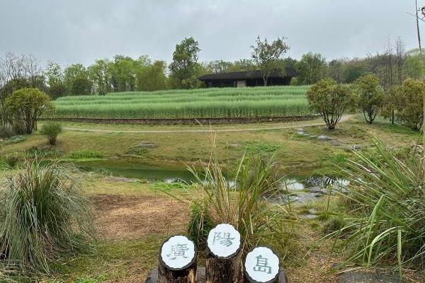 畅游重庆广阳岛：最新攻略指引新旅程