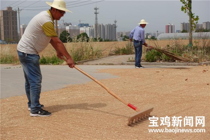 宝鸡地区二手收割机，新鲜上架，商机无限！