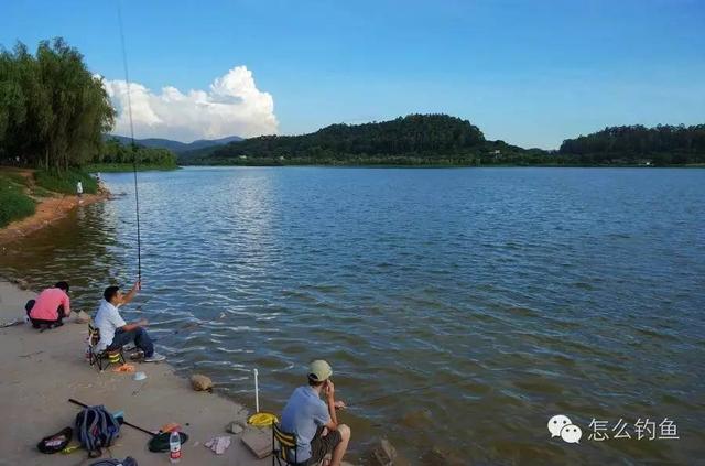 海口水库垂钓新乐地，渔趣盎然好时光