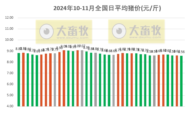 最新全国生猪市场价格动态