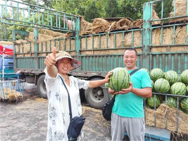 西瓜市场实时动态