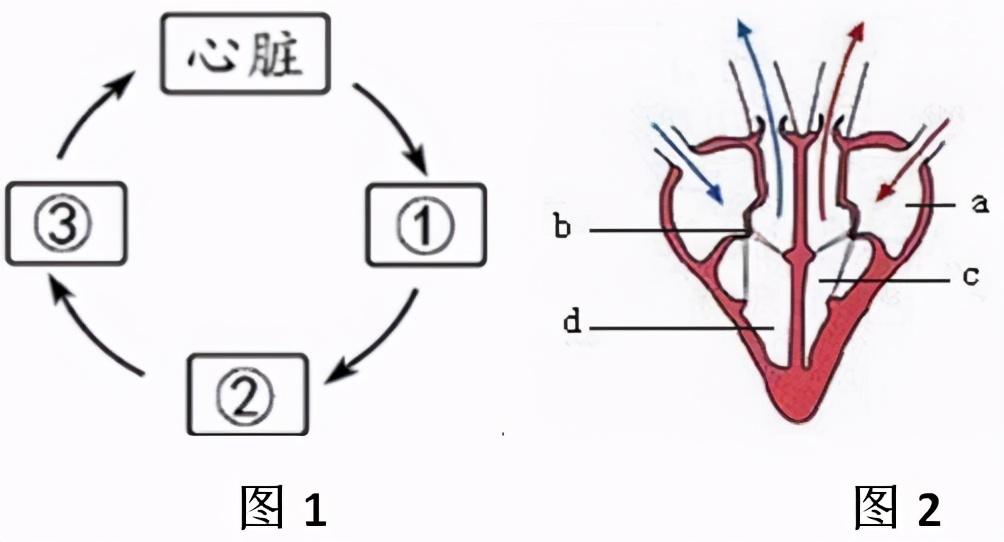 云镜天成