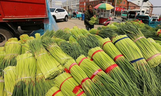 邳州地区新鲜蒜苔市场实时价格动态一览