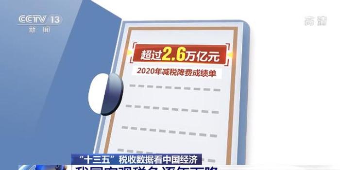 最新揭晓：央视深度解读个人所得税改革动态资讯